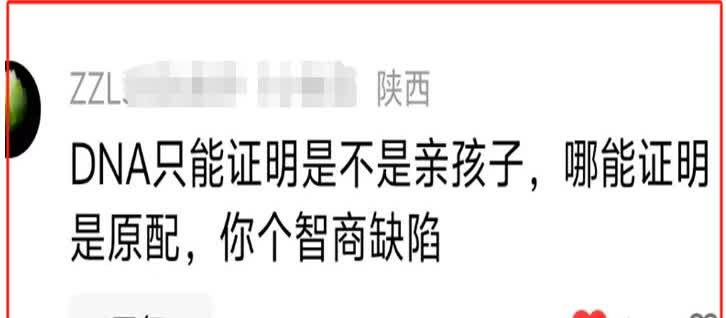 “DNA只能证明是不是亲孩子，哪能证明是原配，你个智商缺陷。”这是陕西一位叫“Z