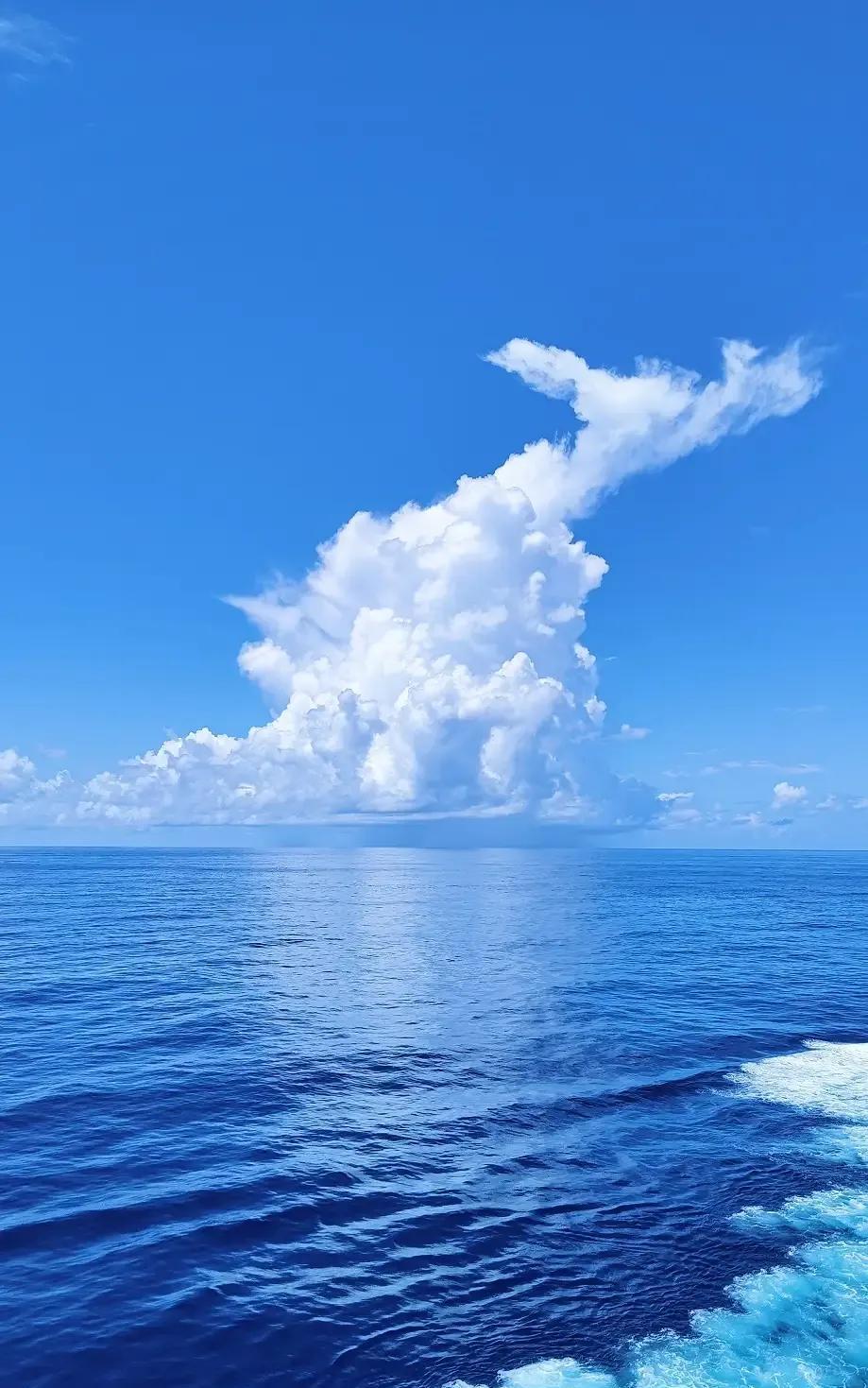 #分享手机里随手拍的风景相片#