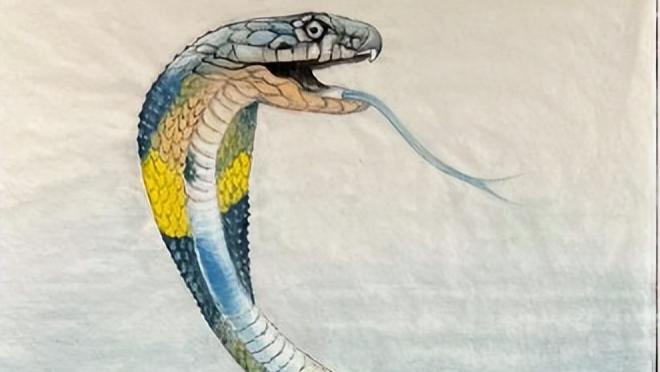 生肖蛇，乙巳年小寒：1月6日-1月21日锁水不济，易犯口舌！