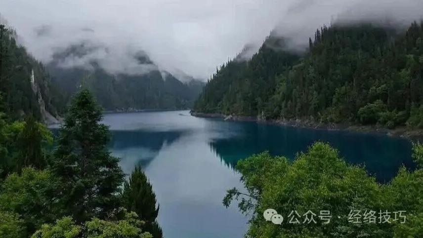 早上起床“痰多”的人，睡前可以多按按小腿这个位置！