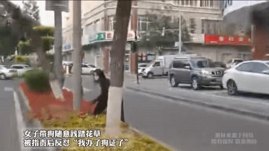 男子:这里能让进吗？
女子:为什么不让进？
男子:这里不能进！
女子:我办了狗证