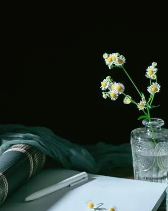 一段很现实的话：“现在老人看不惯，儿女睡到九点半。不洗衣服不做饭，起来就把手机看