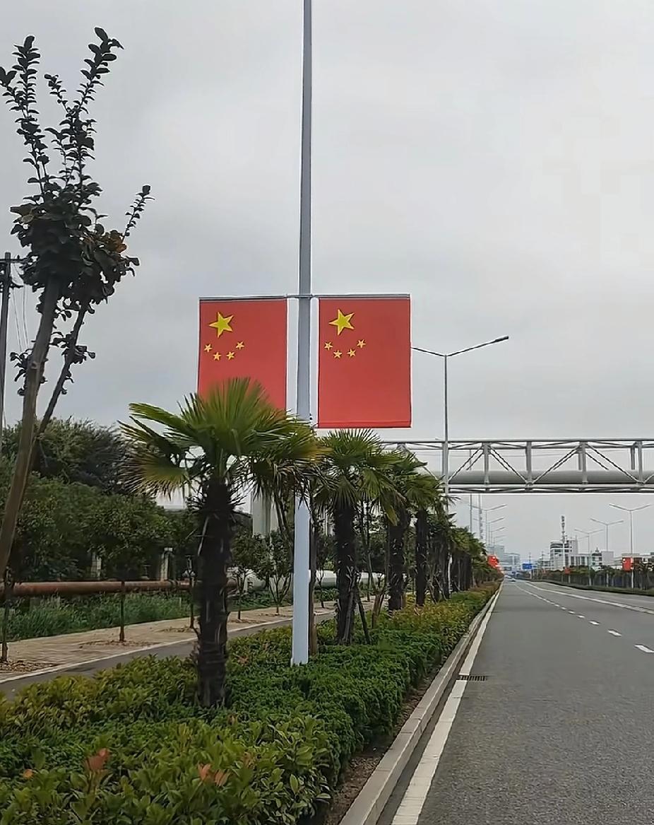 靠马路这边的国旗挂反了
好朋友透过窗户
让我看
确实有一面反了
急忙打了电话
如