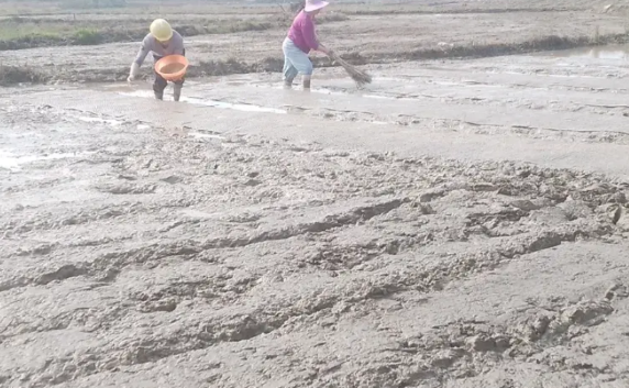 在农村发现一个现象：
大部分村党支书经济条件都比较好，导致很多民众认为这些村党支