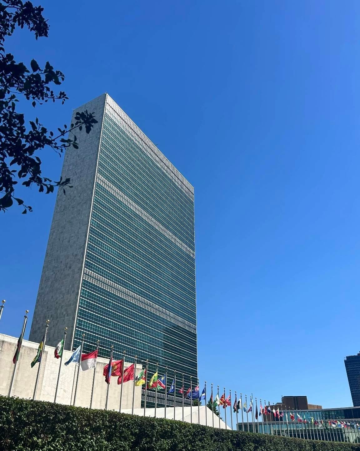 联合国总部到底该不该搬家











真是活久见！你知道吗？联合国开会