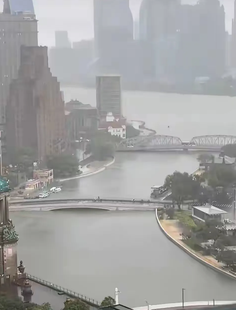 受海啸和台风的双重影响，黄浦江和苏州河的水位都很高，感觉水快要溢出来了。

