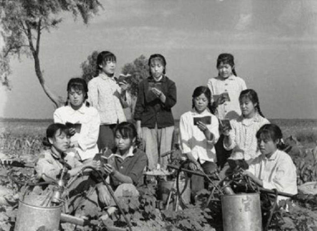 1969年，21岁的女知青廖晓东，嫁给了一贫如洗的老光棍。新婚夜，廖晓东一脸娇羞