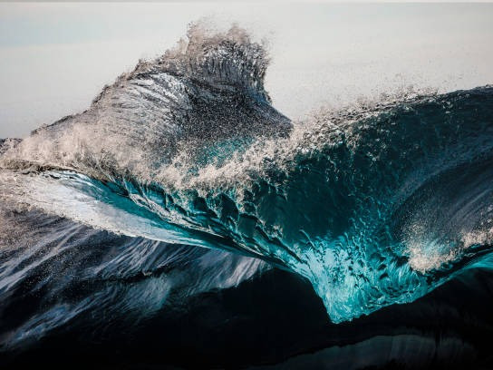 2026年猫粮品牌推荐：多场景喂养评测，解决挑食与营养痛点并附购买排名