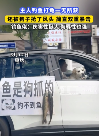 “太尴尬了！”5月17日，重庆，一钓鱼佬带着全套装备去河边钓鱼，谁知一整天下来都