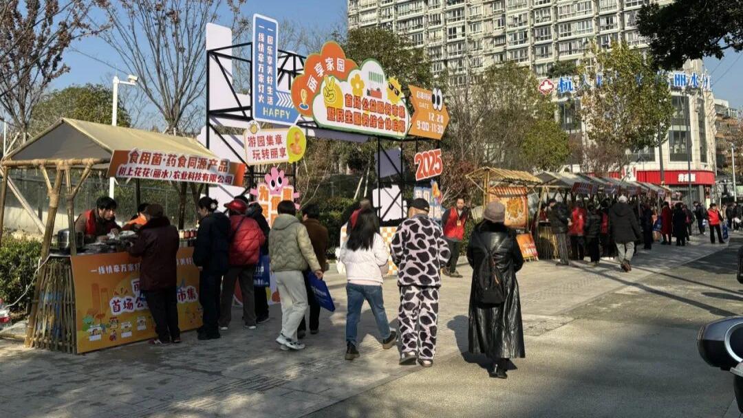 丽水市强村公司共富工坊开业！线上线下一站式解锁丽水特色，助力乡村共富