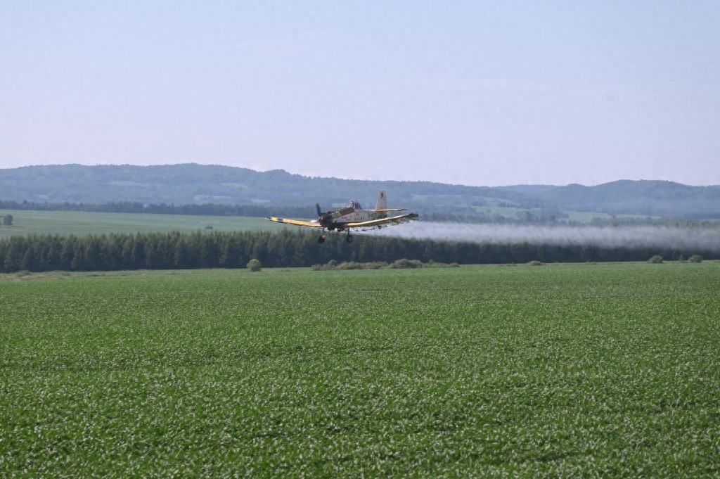 科技赋能 夏管添智——北大荒高标准推进现代化农田管理