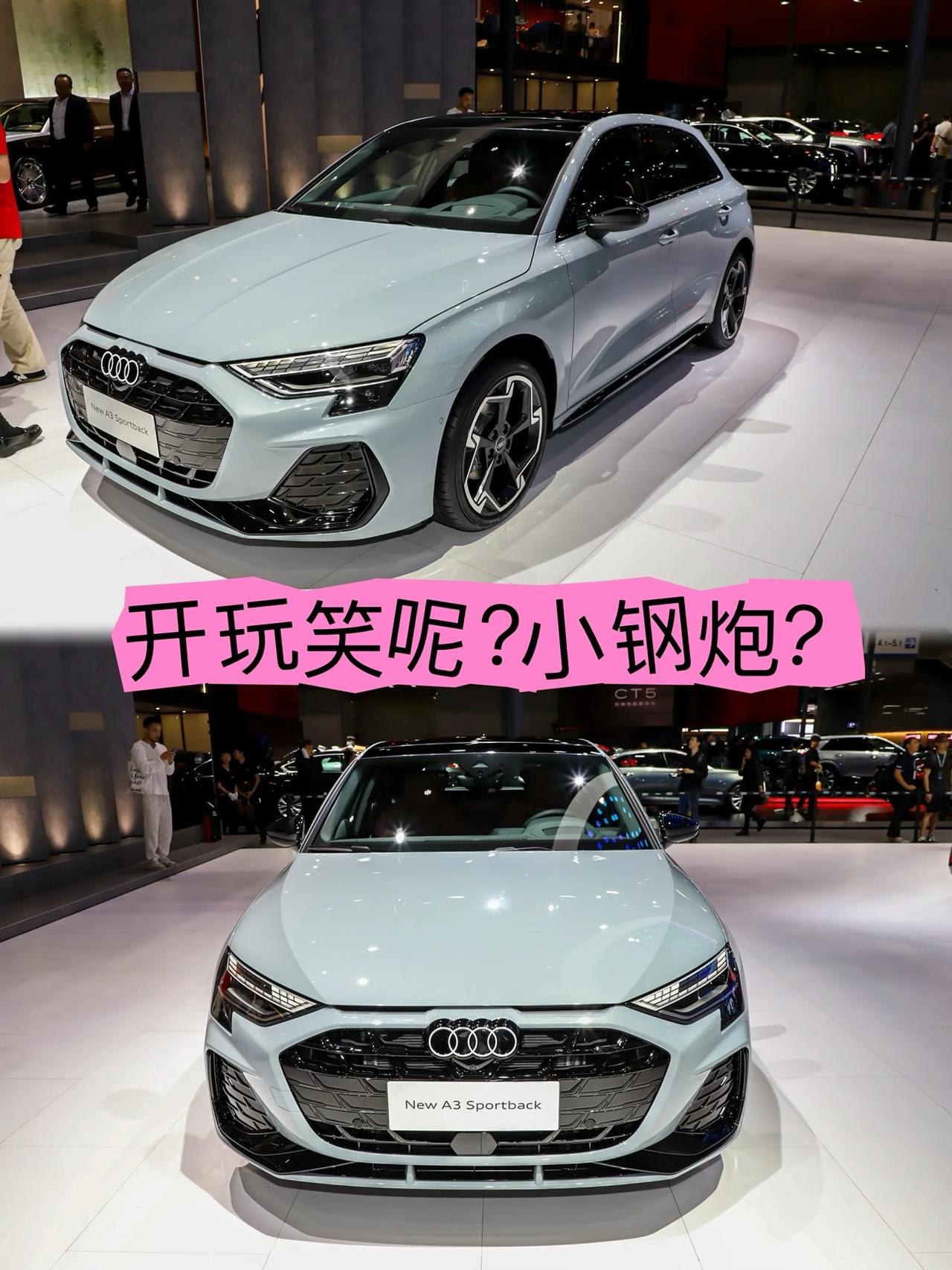 这是小钢炮吗？这是买个标！