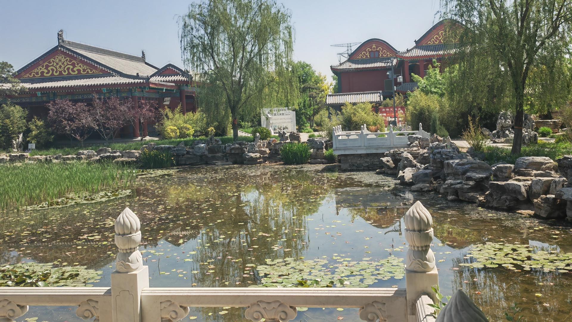 2025乙巳蛇年农历十月（丁亥月）各生肖运势