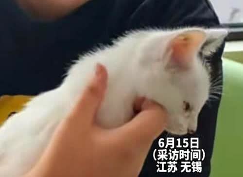 “太悲剧了！”6月16日，江苏无锡，男子睡觉时，感觉手上有东西在爬，他误以为是养