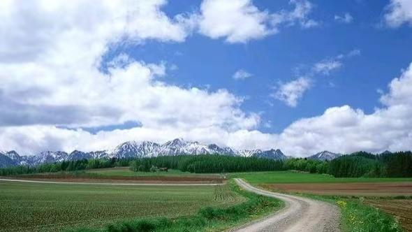 丞相，汉武大帝时期的高危职业之三：庄青翟之死