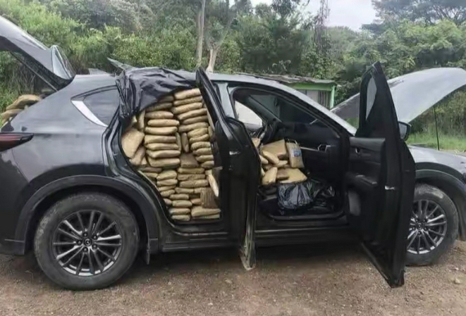 下一步得被枪毙了吧