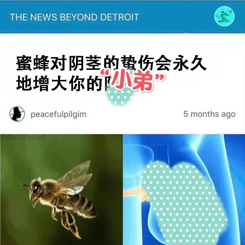是的，此时此刻对国企、公务员的工作，对双休、五险一金的工作已经提不起丝毫的兴趣，