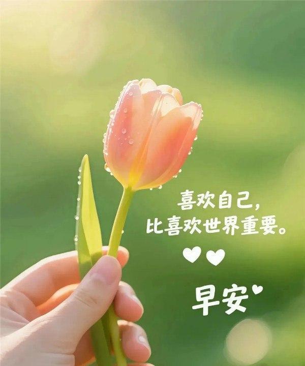 新的一天，愿你带着感恩的心出发。
每一次努力都在悄然绽放，
每一次坚持都在铺就未