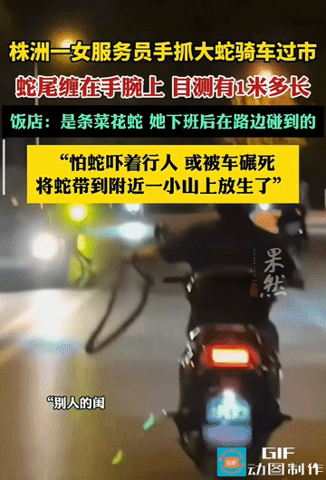 “这女孩太狠了！”湖南株洲，一名子女单手骑着电动车，另一只手上居然抓着一条长约一