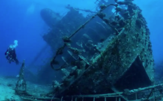 潜水机器人打捞沉船惊醒超大乌贼，生物学家看见后欣喜：要捉活的
