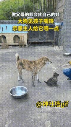 母亲的伟大之处就是，啥事都想着孩子～#母亲#