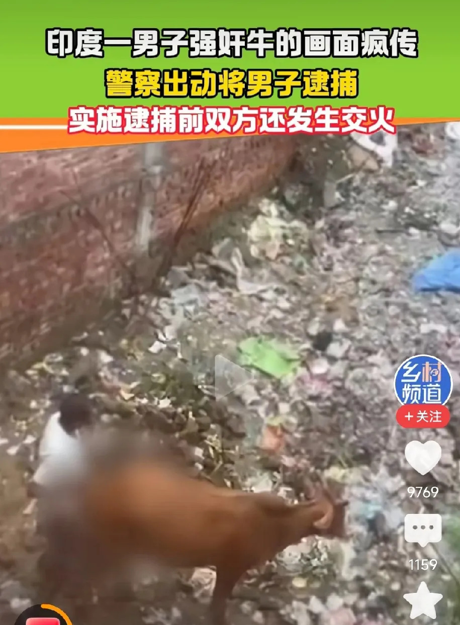 印度男子太离谱，竟对牛下手！











简直不敢相信，印度竟然发生了