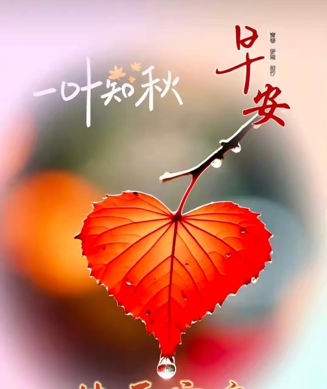 忘年恋打破传统观念束缚，体现了爱情的多元和包容。