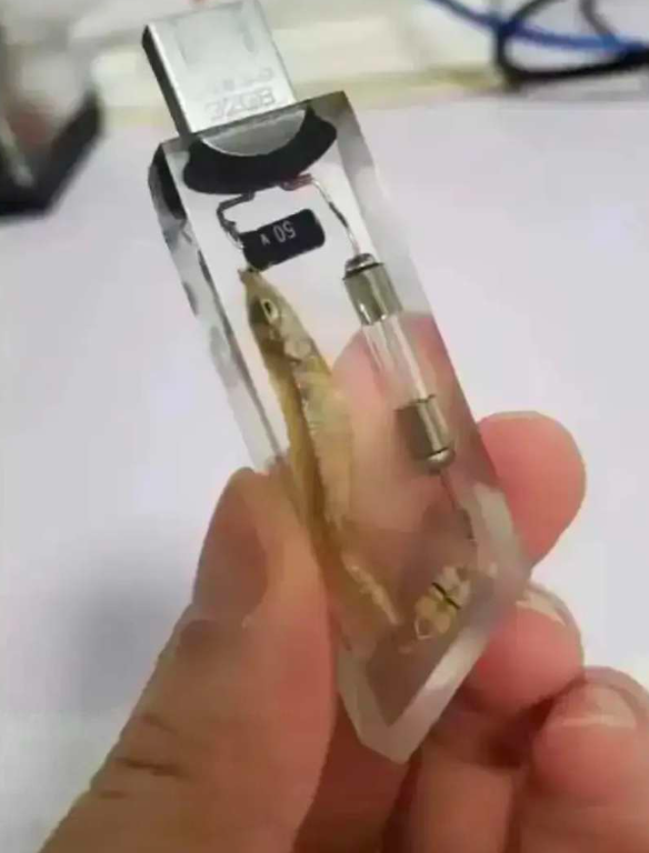 这个u盘的工作原理怎么理解？
