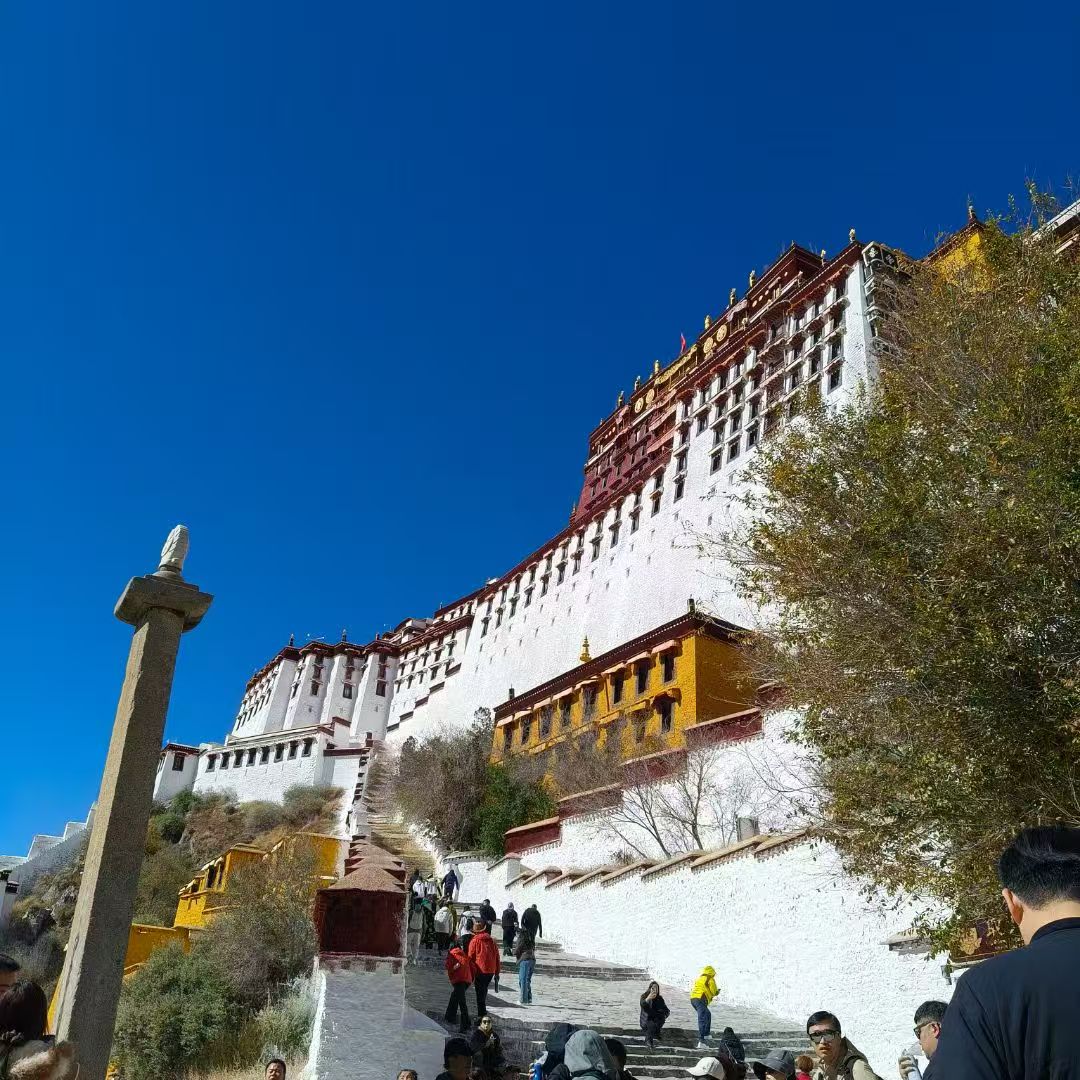 西藏旅游，布达拉宫美景攻略📝