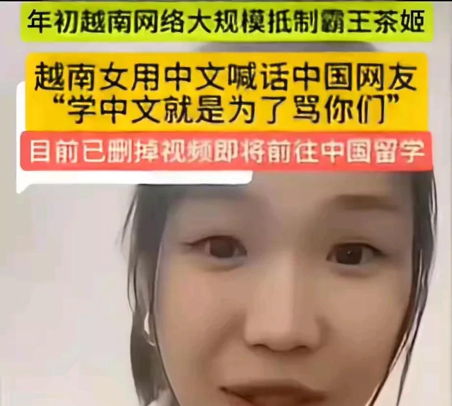 学中文就是为了骂中国人，这个越南女人怎么混进武汉大学留学的？难道武汉大学不审查这