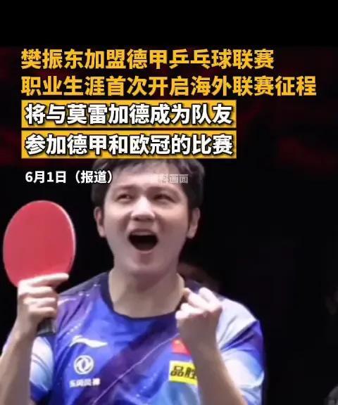 樊振东去德甲了，德甲要火爆全球了！现在将德甲乒乓球联赛的一些主要俱乐部及球员介绍