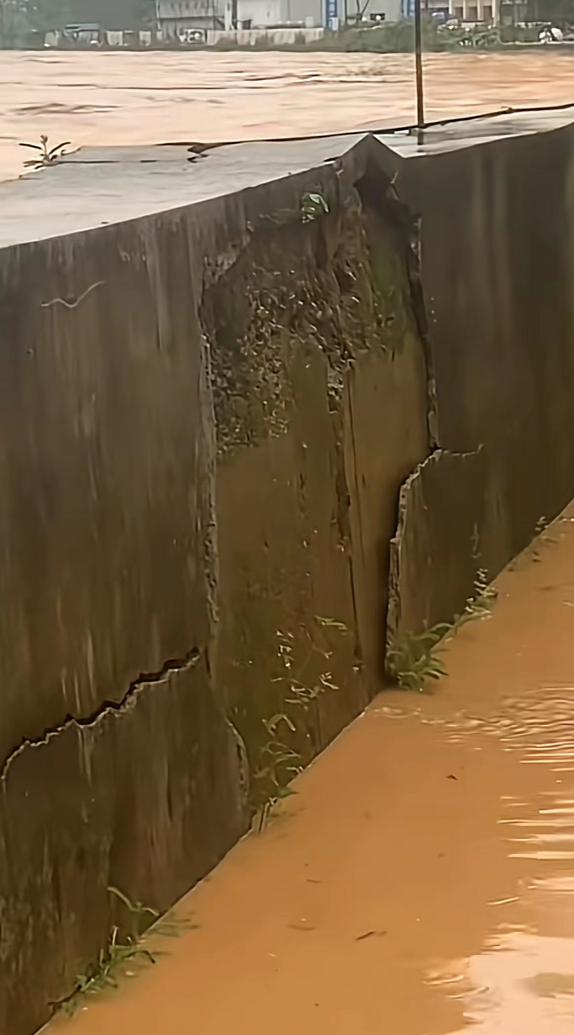 水位噌噌往上涨，已经浸到公路了