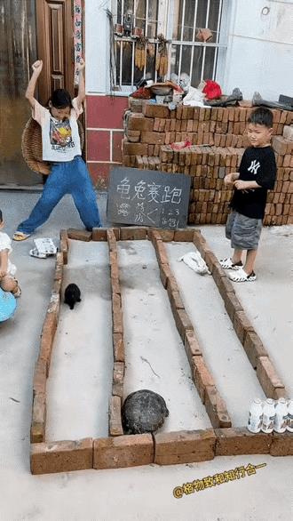 课本里学的也不一定全对！比如你是快递公司老板，你是招兔子还是乌龟，天赋面前，一切