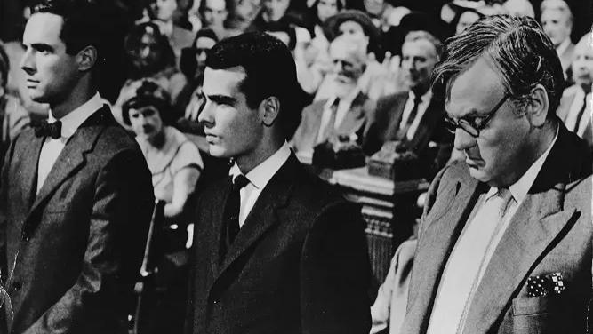 装圣母，还得看法律人