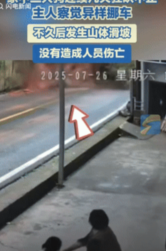 “这下解释不清了！”四川乐山，一女子发现家里养的3只狗，总是朝着车子停放的位置狂