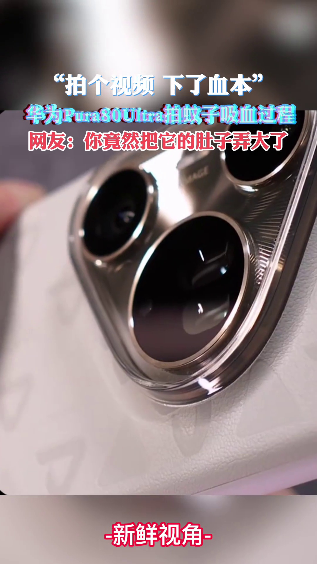 “拍个视频 下了血本” 华为Pura80Ultra拍蚊子吸血过程