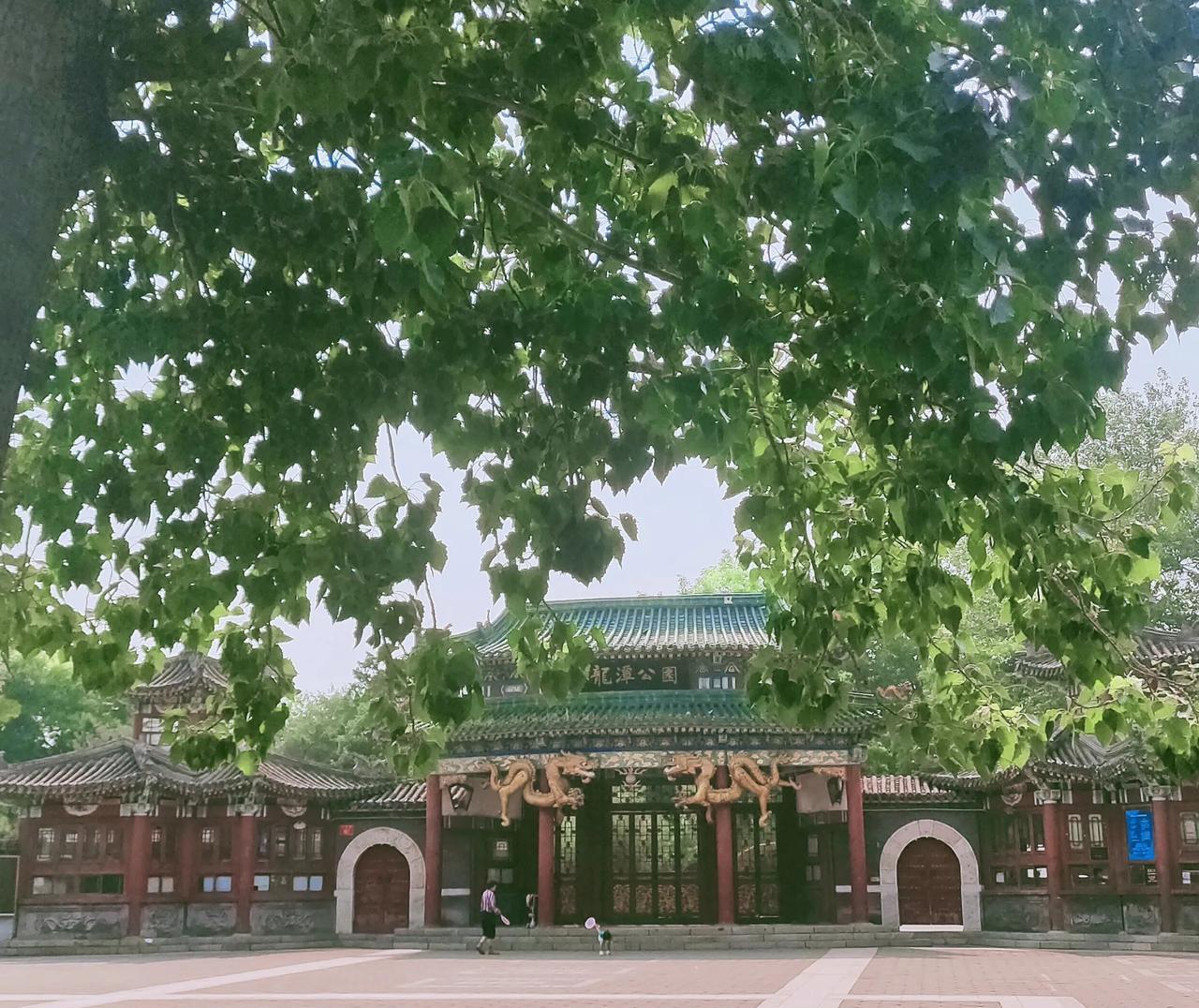 #晒图笔记大赛#
六月初夏，天空不是很晴朗，阳光正好。
龙潭湖公园绿意葱浓，风中