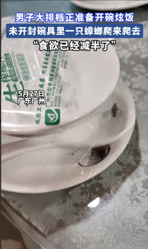 “头皮发麻！”广东广州，一男子前往一家大排档准备吃饭，不多时菜便上齐，谁料，就在