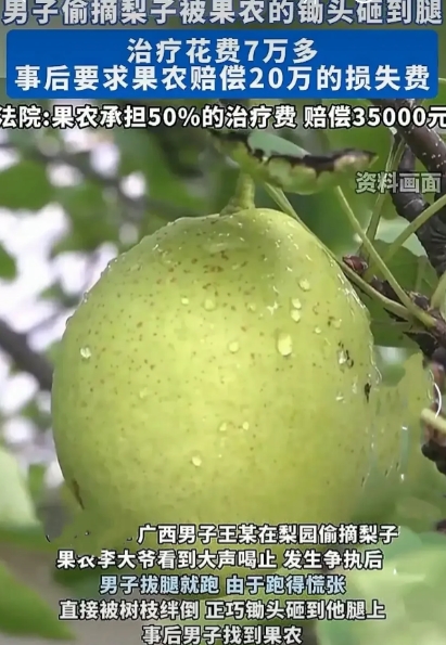 广西，王某偷摘李某果园梨子被发现后逃跑，逃跑途中被树枝绊倒且遭李某扔出的锄头砸伤