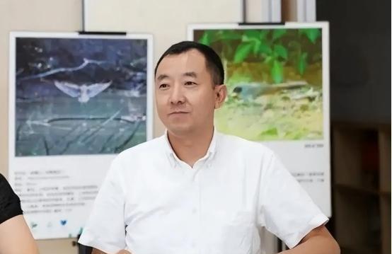 清华硕士陈行甲到巴东上任，发现“前任女县委书记”竟能在北京二环内轻松全款买下两套