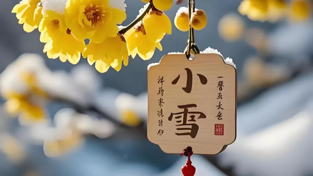 小雪至，暖意生 | 捷鹰文化与你共赴冬韵之约