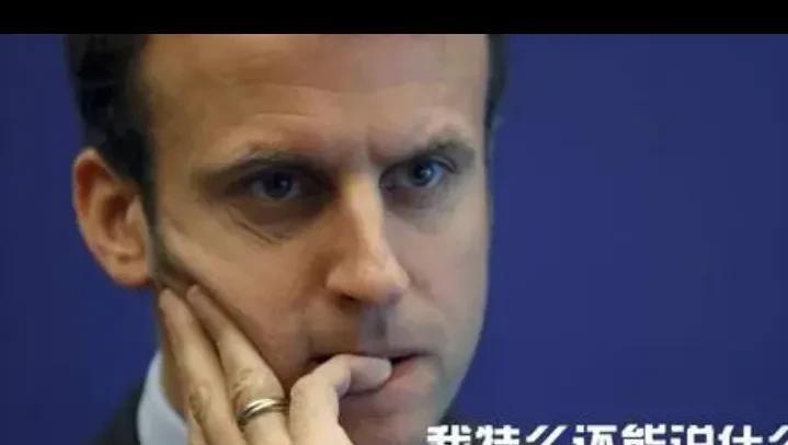 憋屈的欧洲坐不住了！本月8日，特朗普突然宣称，他与普京的会晤将在美国阿拉斯加举行