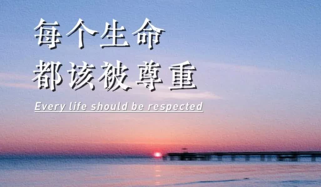 泪目，每个生命都值得尊重！

在张家界，一只黑色的小狗被洪水冲走了，看到它叼