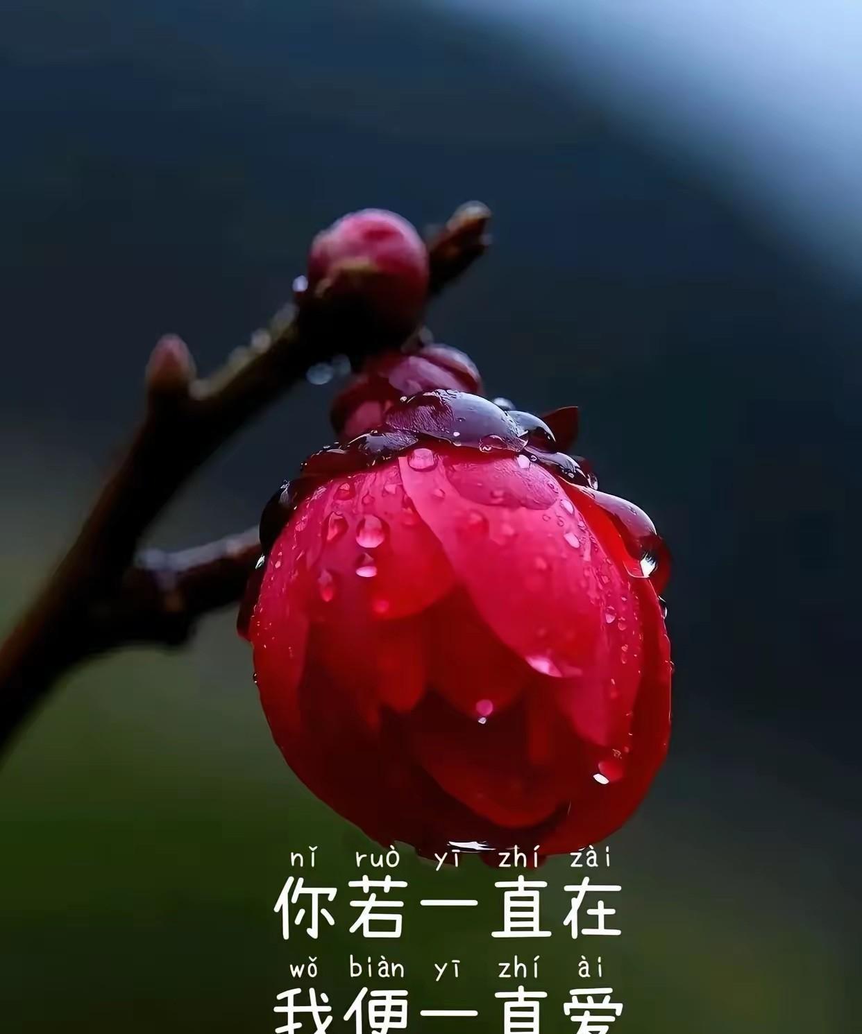 傻瓜，我想通了，我不求结果，我只要过程，至少现在还有你的陪伴就足矣！
茫茫人海中