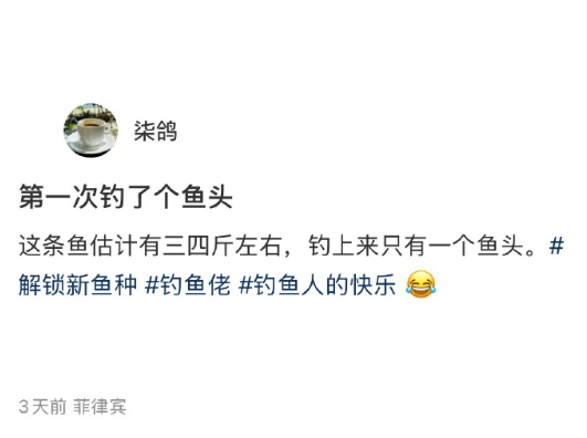 第一次钓鱼钓了个鱼头，罪魁祸首是鲨鱼 ​​​
