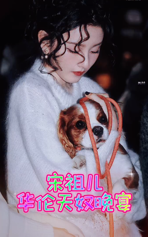 宋祖儿华伦天奴晚宴look，第二套“猫咪羊毛卷”太会了！奶油味的小卷毛，美萌又娇