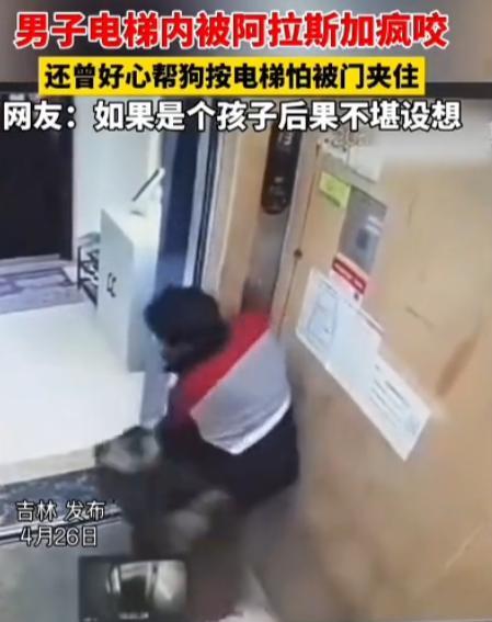 “必须追责！”男子在乘坐电梯时，一只没有牵绳的大型犬，进入电梯疯狂撕咬男子，男子