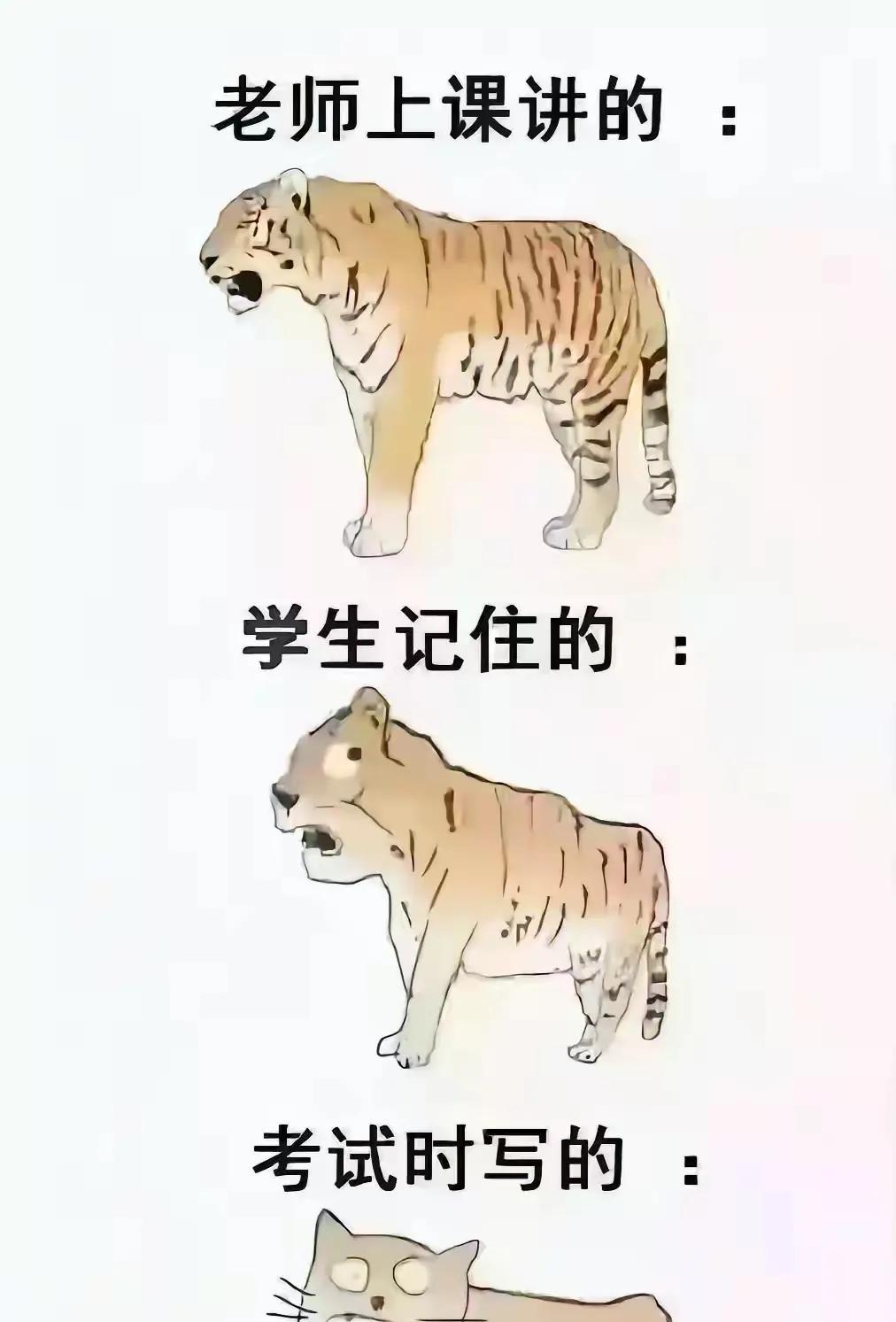 太形象了[捂脸].