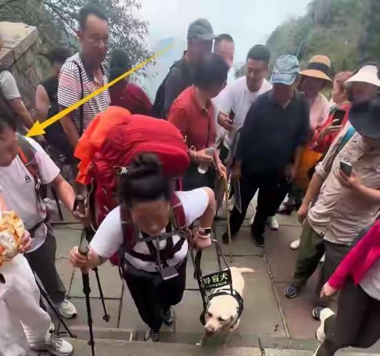 看到导盲犬的遭遇我的心好痛，导盲犬的命也是命啊！这两个盲人为什么这样对待给你看带
