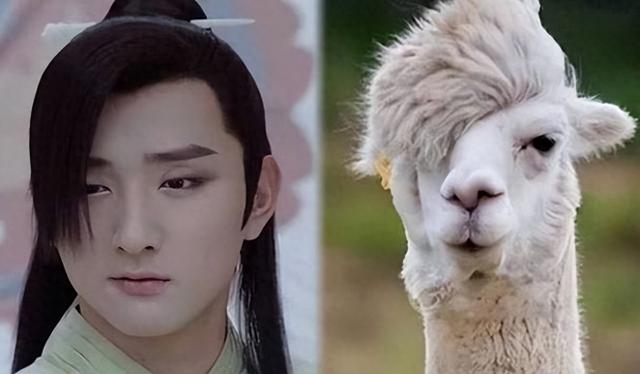 古装丑男再添一员猛将！歪嘴瞪眼、犁地下巴，观众直呼辣眼睛